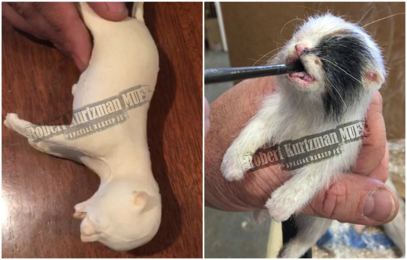 Mechanical newborn kittens were built for the show by Autonomous FX.&nbsp;&nbsp;Images courtesy Robert Kurtzman MUFX.