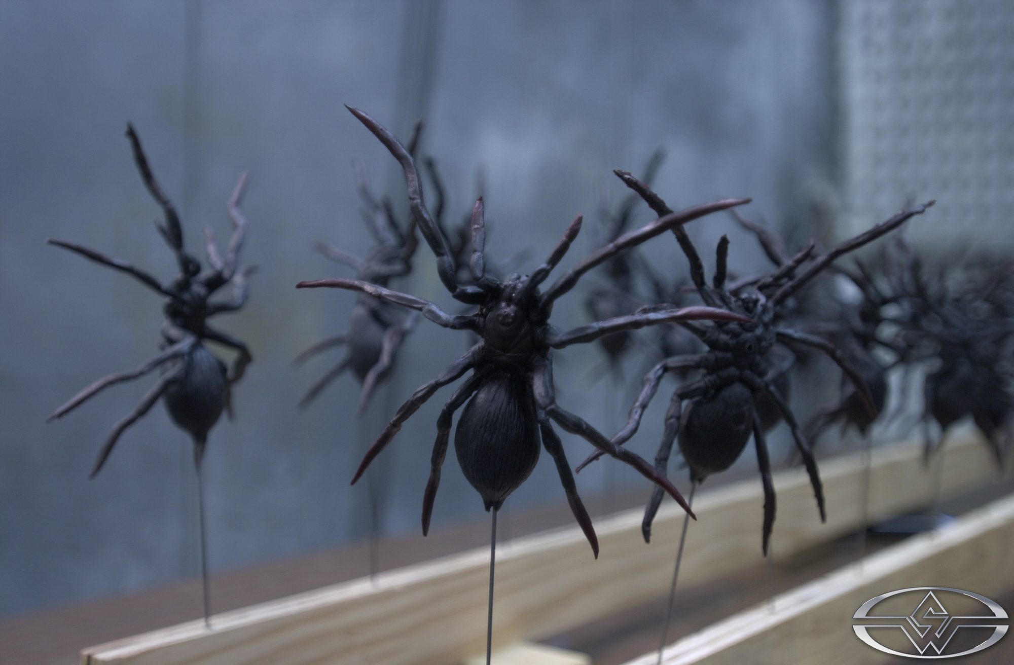 Some of the spiders drying in the paint booth at the Stan Winston Studio.