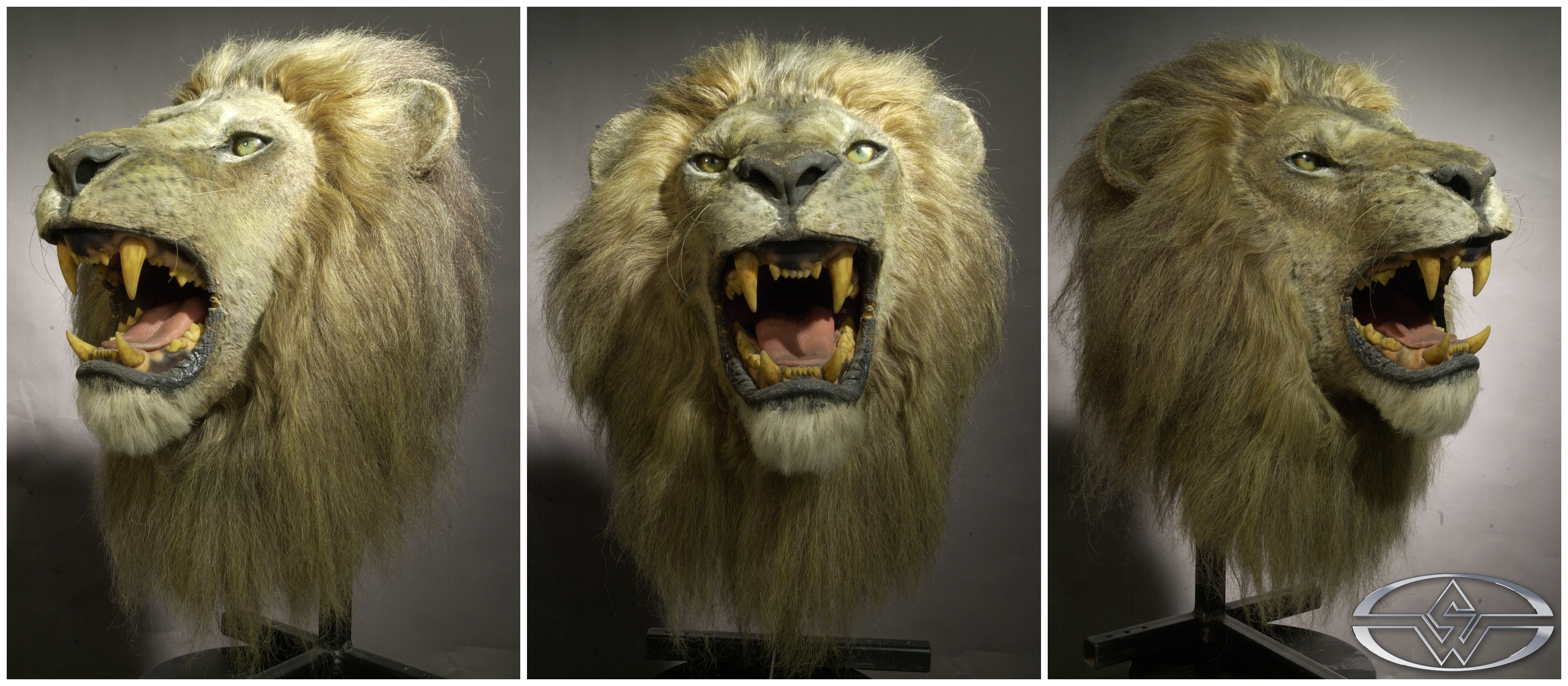 Life-like lion head made for Big Fish by the Stan Winston Studio.