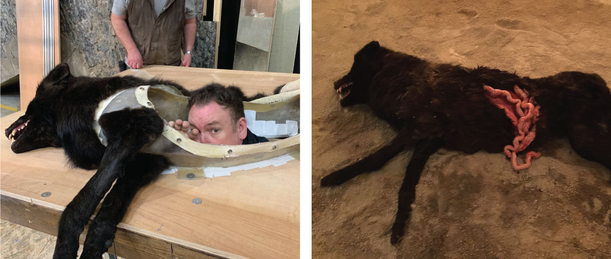 Dave Elsey&nbsp;checks clearance for the performers to crawl out of the wolf. On the right, the wolf puppet ready on set.