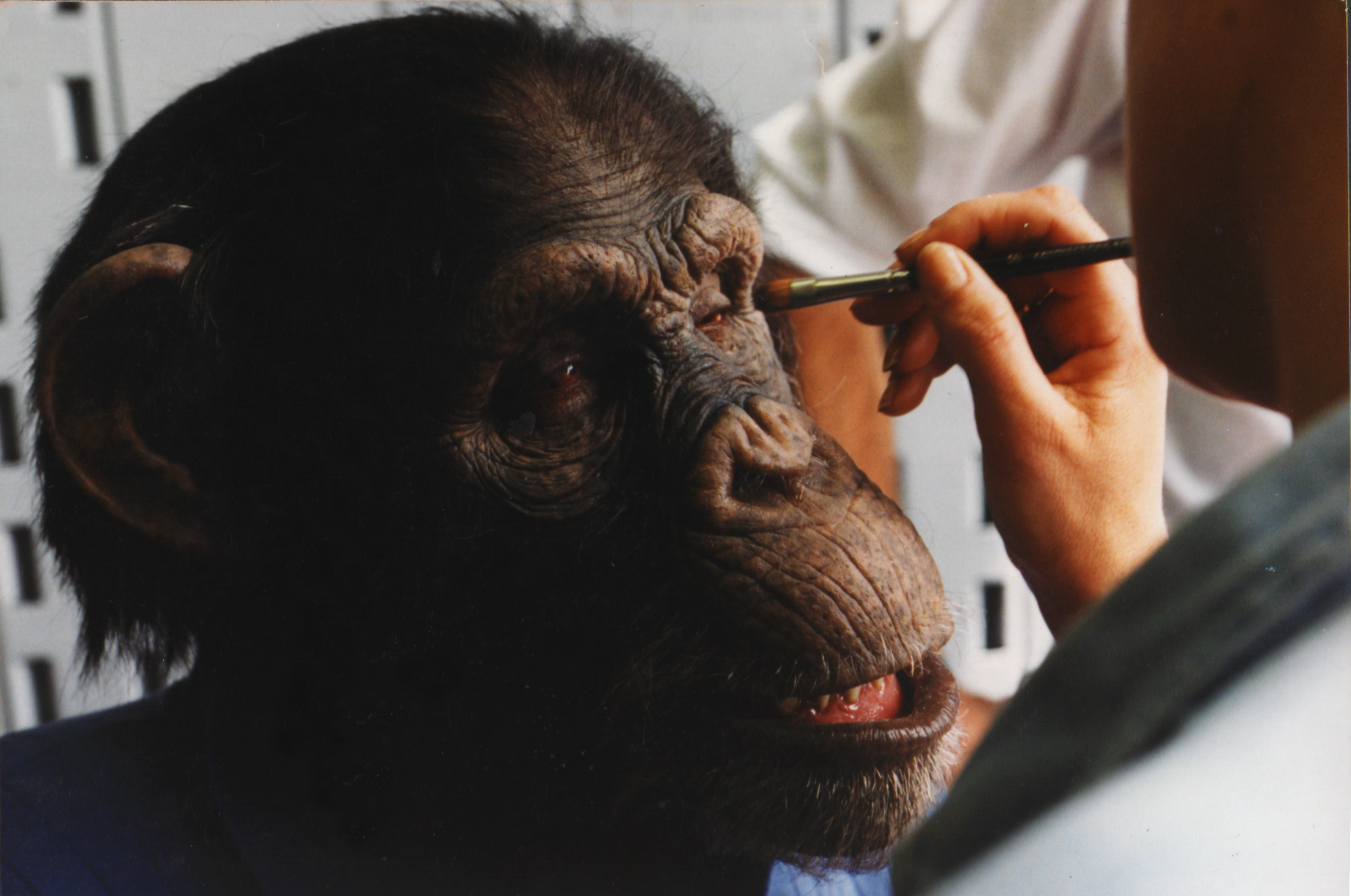 Gino at work&nbsp;on the silicone animatronic Ed&nbsp;mask. Image source Animated Engineering/Universal Pictures