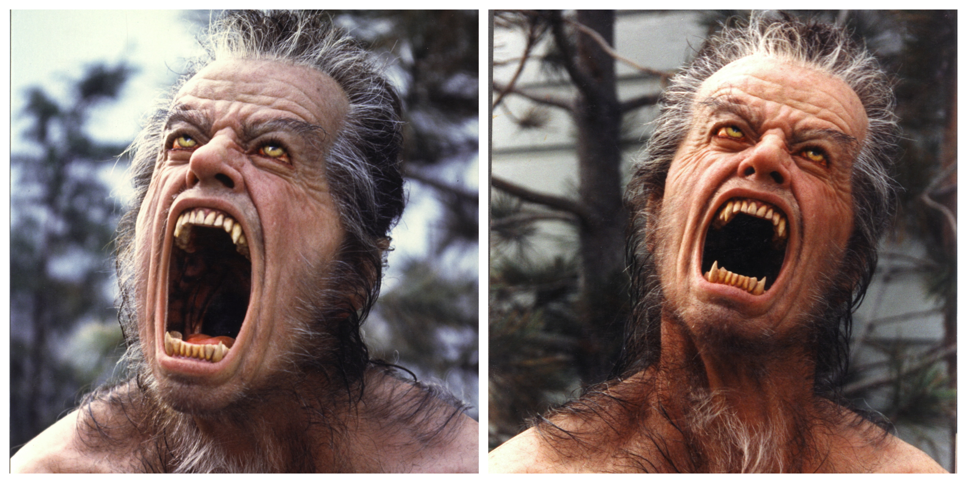 The silicone Jack Nicholson werewolf puppet with the distended jaw from Wolf. Courtesy ADI/Columbia Pictures