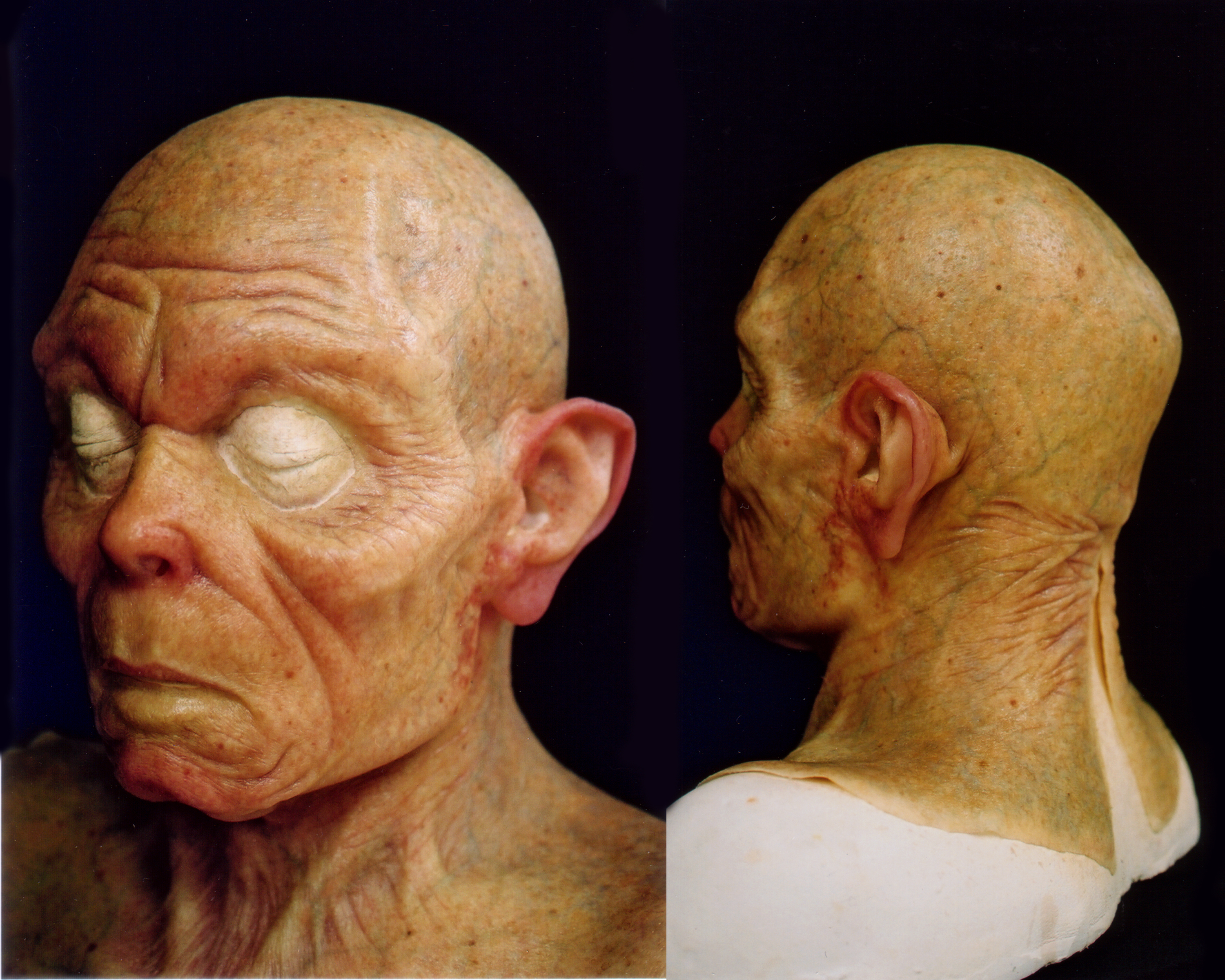 The painted Gollum transition makeup appliance. Image source Weta Workshop/New Line Cinema