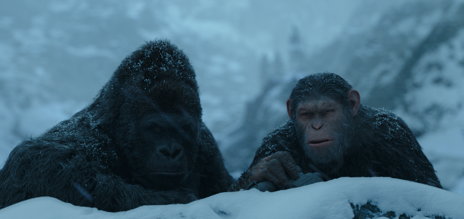 Stills from&nbsp;War for the Planet of the Apes. Image source 20th Century Fox.
