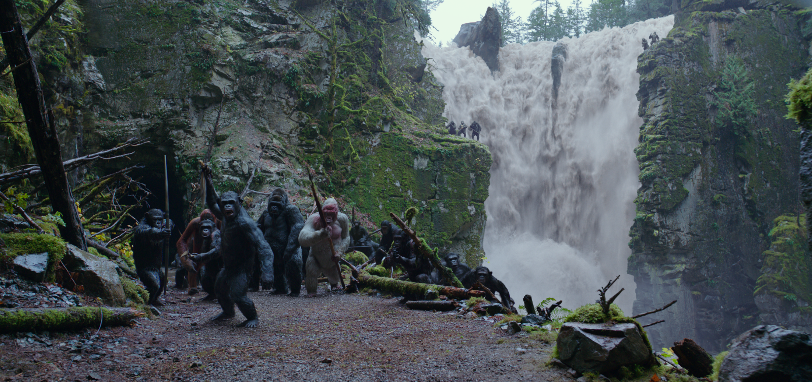 Stills from&nbsp;War for the Planet of the Apes. Image source 20th Century Fox.