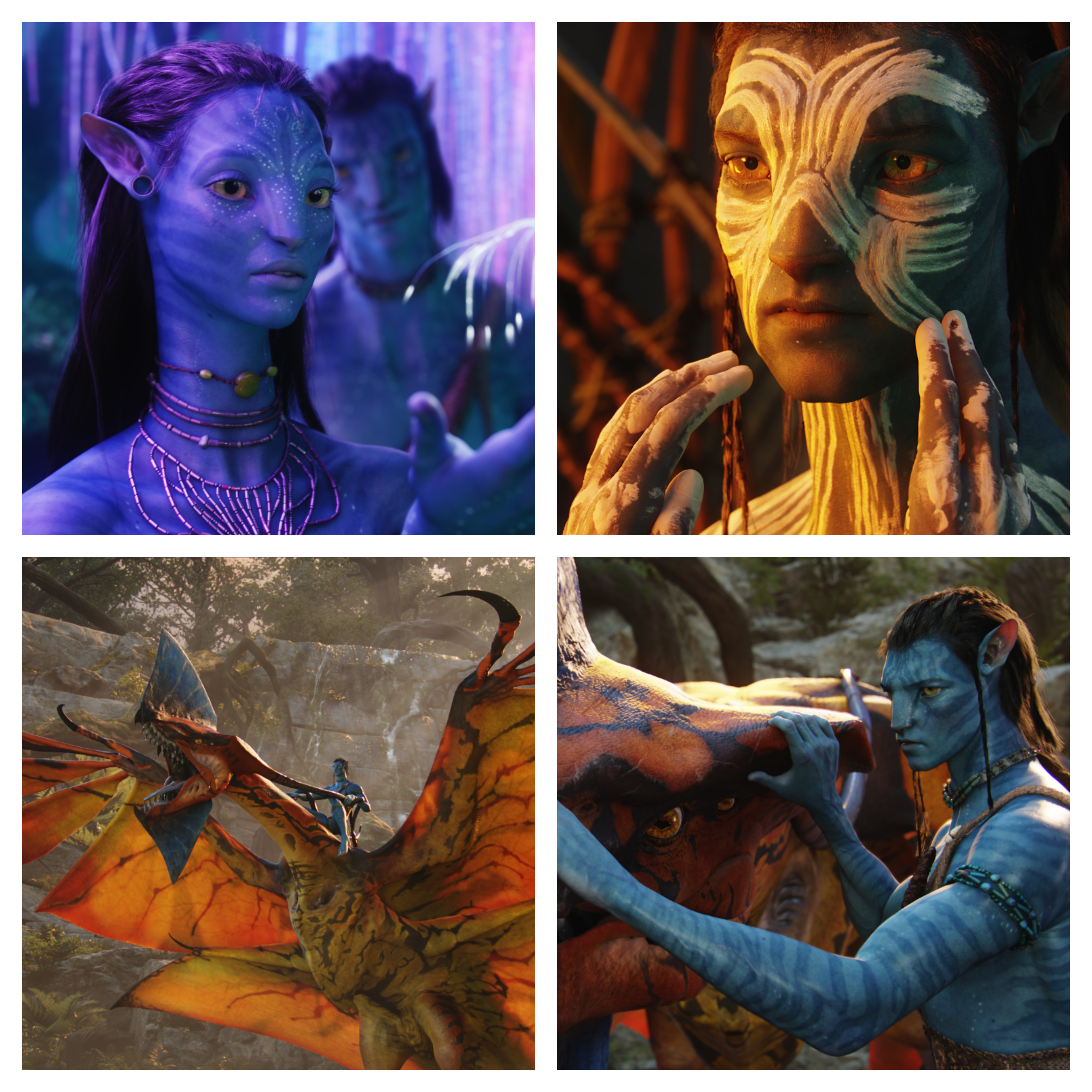 The many faces of the Na'vi from Avatar&nbsp;which&nbsp;featured&nbsp;Gino's 'skin scans' for their textures. Image source 20th Century Fox/Lightstorm Entertainment