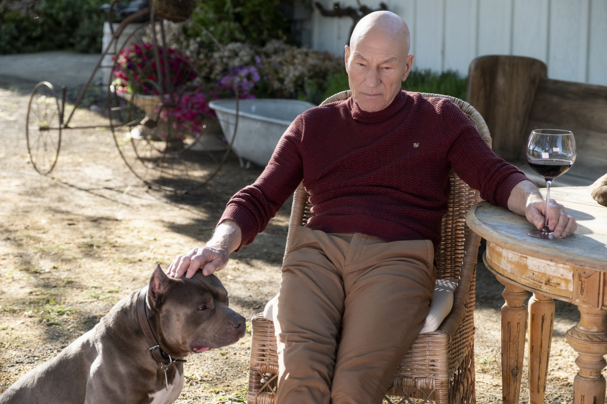 Patrick Stewart returns as Captain Jean-Luc Picard, retired from Starfleet and mourning an old friend.&nbsp; Image courtesy CBS All Access.
