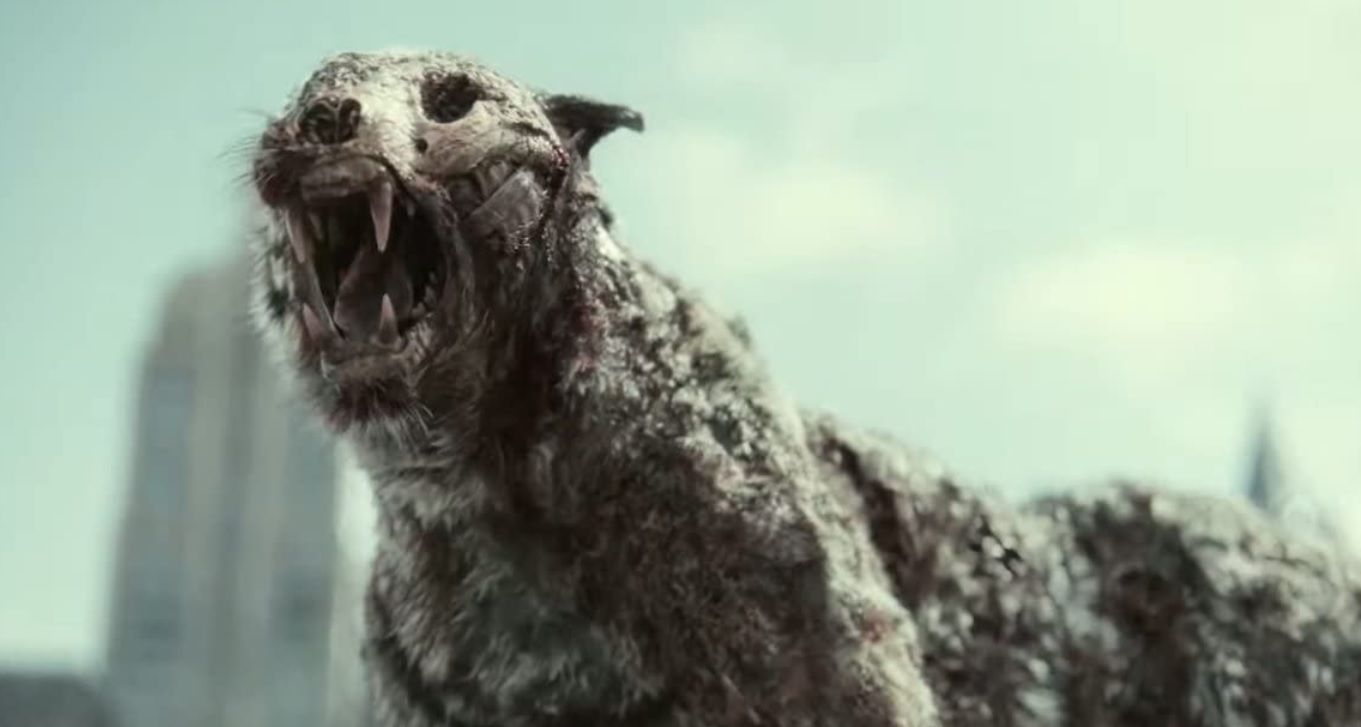 The zombie tiger named Valentine roams what is left of Las Vegas.  Image courtesy Netflix