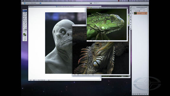 Sourcing reference for textures to layer onto the photographed sculpture.