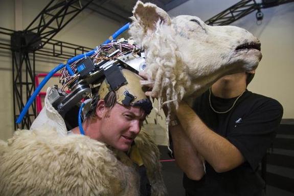 Kevin McTurk suits up for his role as "The Weresheep" in Black Sheep.