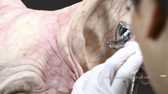 With opaque materials such as Foam Latex, you must create the illusion of translucency.