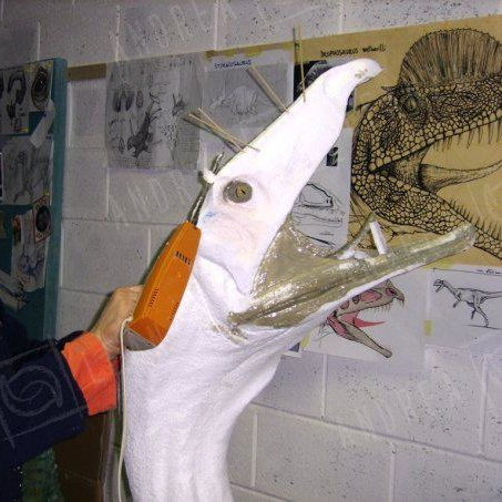 Progress photos of Andrea Leanza’s dilophosaurus