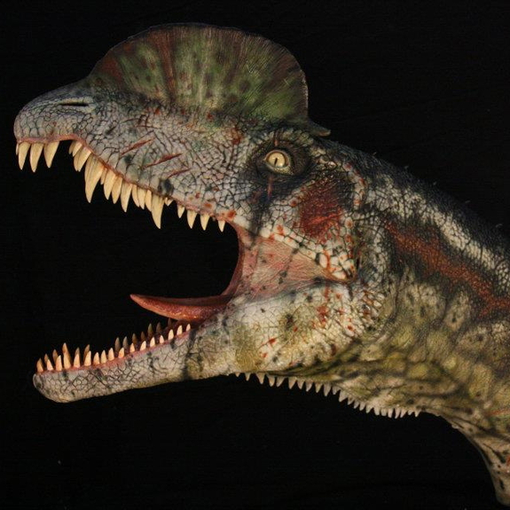 The final result of the dilophosaurus. Absolutely dino-mite!