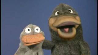 Steve Axtell's viral sensation, the P-P-Platypus with a Platypus puppet of its own!