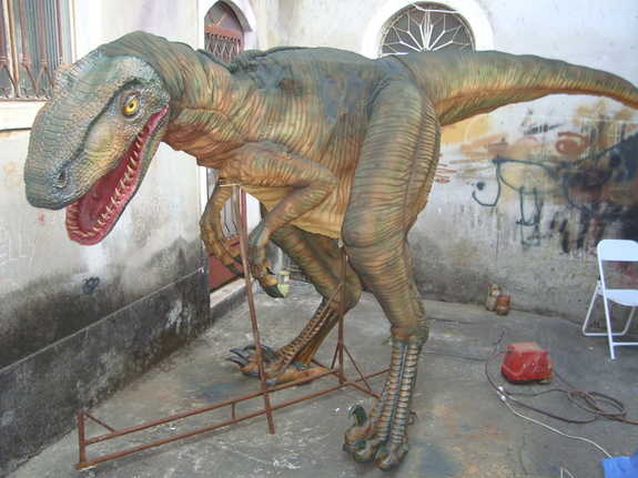 Quite an achievement. A finished walkaround Velociraptor in the middle of Brazil.
