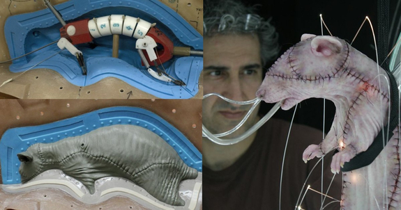 An animatronic “FrankenRat” created by Make-up Effects Group for the film.
