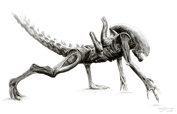 Emka moves from birds to aliens.