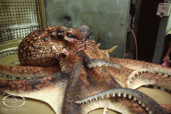 Mutated octopus puppet created by Stan Winston Studio for The Island of Dr. Moreau.