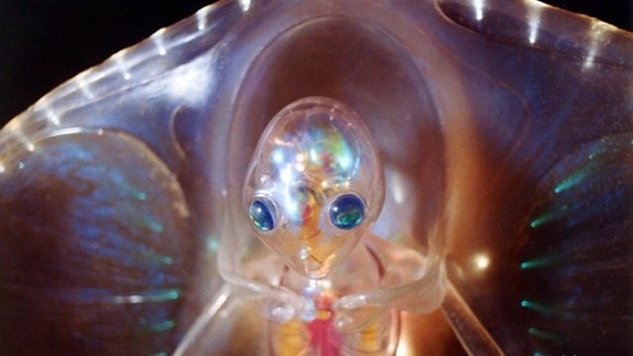 One of the “glass-clear, self-illuminated, color-changing and shot entirely underwater” aliens from James Cameron’s The Abyss.