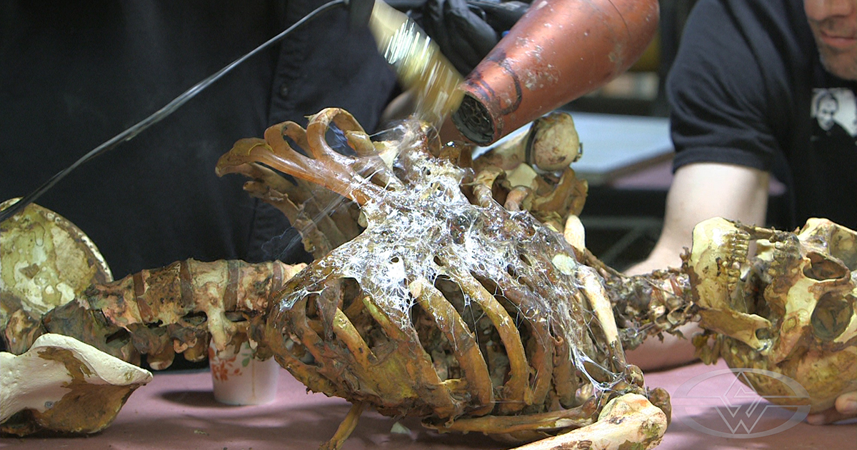 How to Make a Corpse Prop Adding Rotten Skin Stan Winston School of